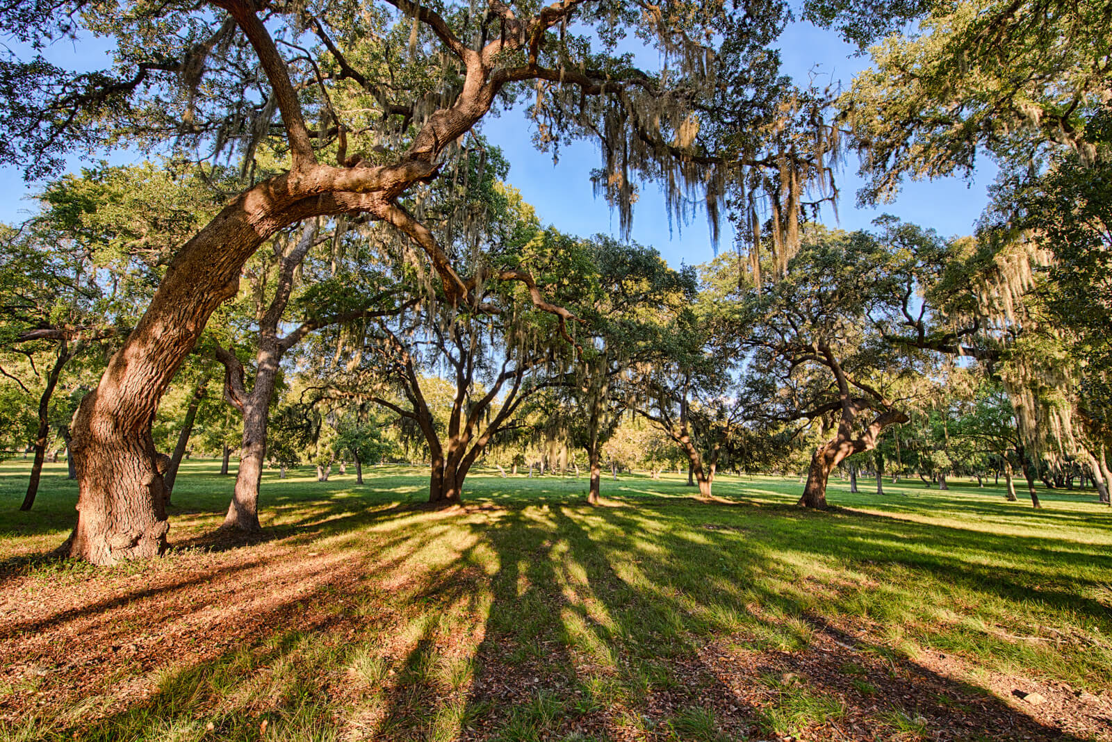 Medina River Ranch Texas Ranches for Sale duPerier Texas Land Man